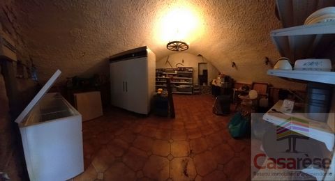 photo no. 15