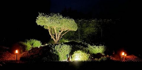 photo no. 8