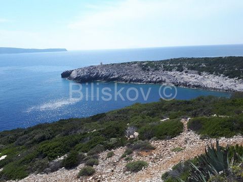 Vis, Komiža In an beautiful bay on agricultural land with a total area of 55,000 m2, there are buildings built before 1968, which can be adapted and renovated in accordance with the existing dimensions. A total of 8 larger and smaller buildings. One ...