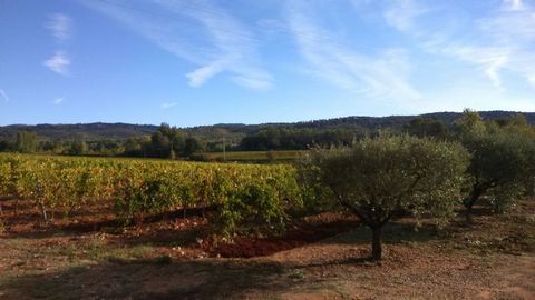 Independent wine growing estate with over 10 ha of vines. A beautiful estate with charming house, winery and outbuildings. in a preserved environment of 12 ha, 10 of which in AOP Coteaux Varois en Provence and IGP vineyard. Easily accessible whilst r...