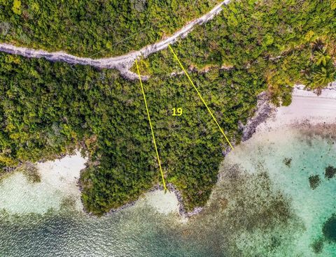 Dieses Halbinsel-Los grenzt an Bardot Beach, benannt nach der französischen Schauspielerin Bridget Bardot, die diesen einsamen Strand besuchte. Das Grundstück ist privat und halb abgeschieden, aber nur 10 Minuten zu Fuß vom Great Harbour Cay Marina. ...