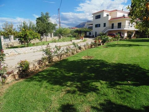 For sale a house of 334 sqm within a tree area of ​​2000 sqm, built in 2002. It is located within a settlement in Eliki, Aigialeia, Achaia. It is built on 3 levels, with unrestricted sea and mountain views, has 5 bedrooms, 3 bathrooms, 2 kitchens, 2 ...