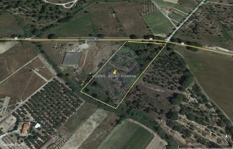 Land in Pegões with 19.250m2 for construction of Housing and Warehouse.   Land with request for prior information favorable to the construction of housing and warehouse of agricultural support in Pegões.   The project foresees the construction of a s...