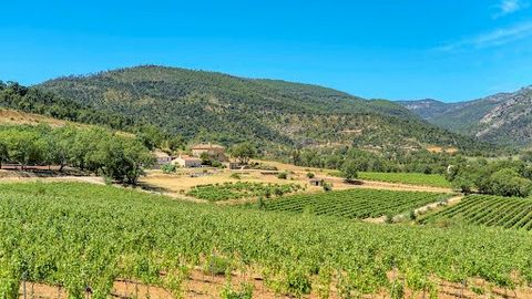 Une très belle propriété viticole dans le Golfe de Saint-Tropez, une propriété de caractère bâtie autour d’une bastide du XVIIIe siècle bénéficiant d’une vue dominante sur le vignoble, la vallée et les reliefs des Maures. Trois maisons indépendantes ...