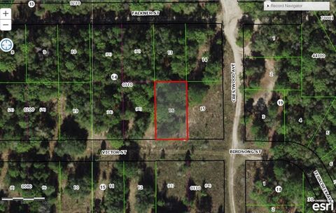 Excellent opportunity to purchase a building lot in this fast growing area of Inverness. Located near many newly built homes yet sits on a quiet and private street. This is a great investment opportunity to either build now or build later. Close to t...