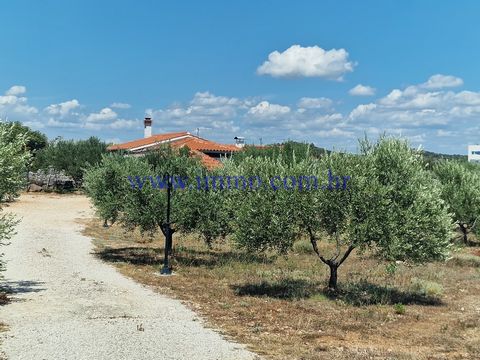 Beautiful cottage for sale, located in a quiet location in the suburbs of Šibenik, only 250 m from the sea. The house is located on a large agricultural plot planted approx. 100 olive trees, far from the hustle and bustle of the city, and at the same...