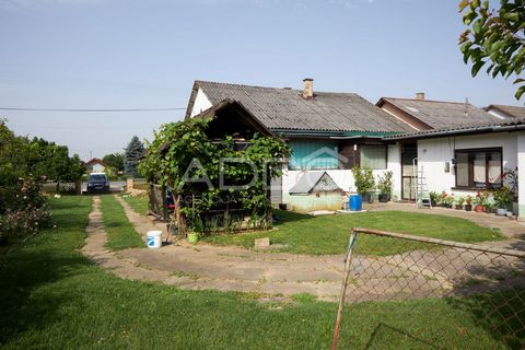 Location: Osječko-baranjska županija, Marijanci, Črnkovci. A house of 162 m2 is for sale on a plot of 4700 m2 with a basement and a landscaped garden in the town of Črnkovci, K.A.Stepinca 76, between Valpovo and D.Miholjac. The house consists of a ha...