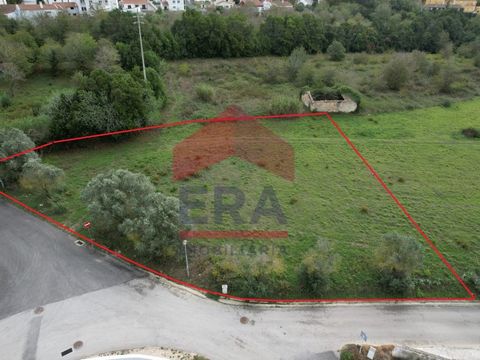Land for construction of 4960sq.M in a quiet area and residential located in Gaeiras, Óbidos. 5 minutes from the historic Village of Óbidos and Caldas da Rainha. Close to commerce and services and with good access to the A8 and the A15 and one hour f...