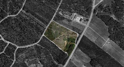 Terreno rústico situado na freguesia de Olhalvo, em Alenquer com uma área de 14.000m2, possui uma mina de água, o que permite que seja utilizado para agricultura.   Este terreno está muito bem localizado perto da Serra de Montejunto.   Venha conhecer...