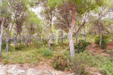 Magnificent plot on two streets in the El Bosque Urbanization (Chiva) 1,511 m2 according to Registry and 1,353m2 according to Cadastre with wonderful views of the golf course and the mountains. The El Bosque Golf urbanization is located just twenty m...