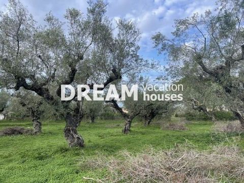 Description Kidoni, Plot For Sale, 5.193 sq.m., Features: For development, Price: 300.000€. Πασχαλίδης Γιώργος Additional Information Plot with a total surface of 5192.87 sqm., in Kydoni of Zakynthos. It has a building potential of a total of 720 sqm...