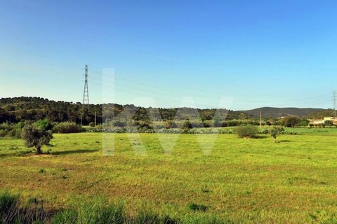 Set of rustic land with 5860 m2 located in Charrua, São Bartolomeu de Messines. Close to the IC1 national road and Ribeira do Arade. There is currently no access, public or private. Distances: - 9.3 km from São Bartolomeu de Messines, services, schoo...