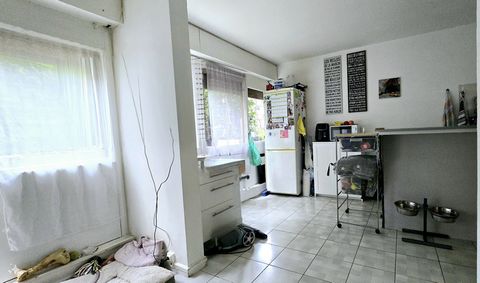 photo no. 2