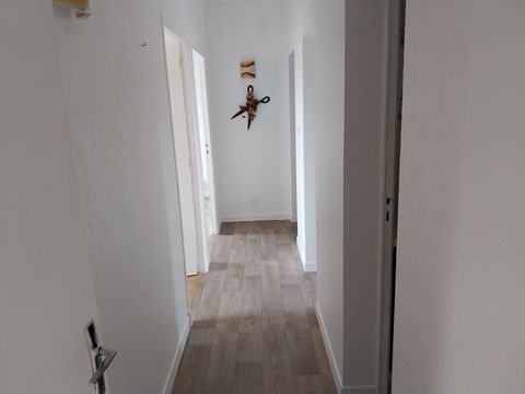 photo no. 11