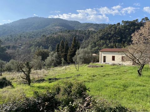 This peaceful property located on a gently sloping plot of land of 5,000 sqm. in a protected natural area with close proximity to Nice consists of 2 houses in need of renovation offering pleasant views of the surrounding hills: A main house of approx...