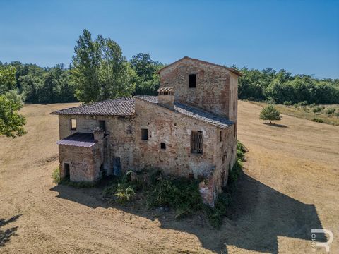 Tra gli idilliaci borghi di Gambassi Terme e Certaldo sorge un imponente rustico le cui origini risalgono al 1400. Questo gioiello di architettura non solo affascina per il suo fascino storico, ma anche per la sua caratteristica torre, che sovrasta l...