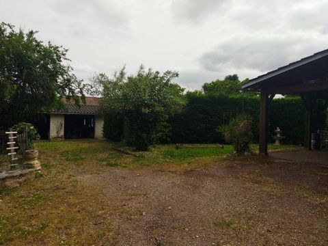 photo no. 10