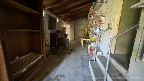 photo no. 16