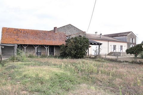photo no. 10