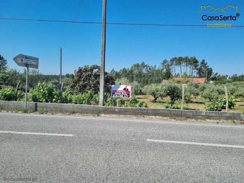 Terres agricoles insérées dans le périmètre urbain du village. D’un accès facile, il est actuellement composé d’oliviers, de vignes et de divers arbres fruitiers. Il a la particularité d’avoir un trou et un puits. Excellente opportunité !