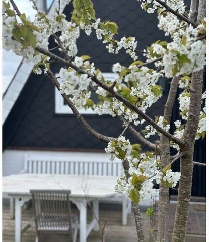 Das Nurdachhaus ‚Ferienhaus Anna Schlei‘ befindet sich im Familienbesitz und wurde in den letzten Jahren ausschließlich privat genutzt. In dem letzten Frühjahr ist es mit viel Liebe zum Detail renoviert worden. Unser Haus bietet zu allen Jahreszeiten...