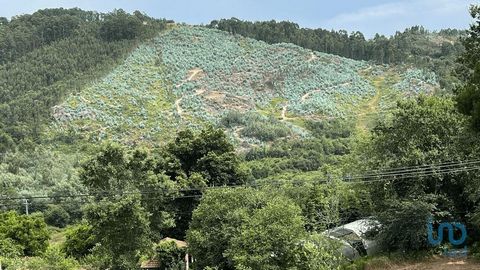 Terrenos rústicos em Banho e Carvalhosa, concelho de Marco de Canaveses, onde se integram os seguintes imóveis: 1- Prédio Rustico, composto por cultura, videiras, pastagem e mato, com a área de 8.120m2. 2- Prédio Rustico, composto por cultura, videir...