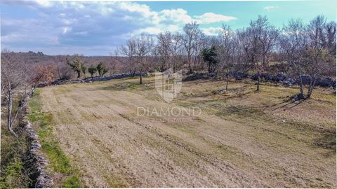 Location: Istarska županija, Buje, Buje. Istria, Buje We offer a building plot on the edge of the construction zone with an incredible view of Bujština region! The land has 1765m2, is of regular shape, flat surface and all the necessary infrastructur...