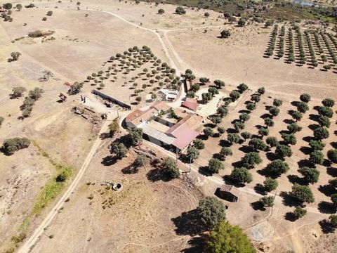 Landgoed met een totaal van 56 hectare (560.000 m2) in de buurt van Escalos de Baixo, Castelo Branco. Een zeer complete woning, met kurkeiken, steeneiken, olijfbomen en kleine pijnbomen. Een deel van het pand grenst aan de rivier de Ponsul. In deze w...