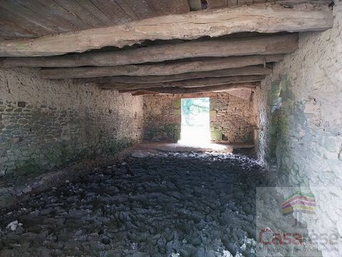 photo no. 8