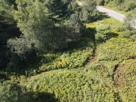 Ajoutez une touche de sérénité à votre quotidien avec ce terrain situé dans le développement des Cerfs de la Vallée du Missisquoi, au coeur du canton de Potton. Idéalement situé à seulement 5 minutes du village pittoresque et à 10 minutes des attract...