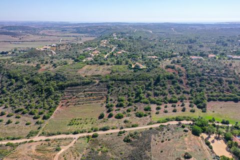 Le terrain a 34460 m2 et une ruine enregistrée avant 1951 avec la possibilité de construire jusqu'à 300 m2 de maison à un étage. Dans ces 300m2 doit être inclus la terrasse et la piscine. Il s'agit d'une opportunité d'acheter un terrain dans une zone...