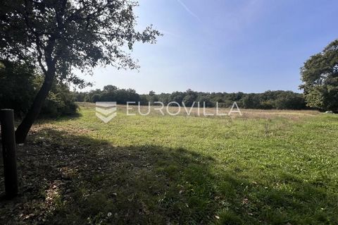 For sale is a plot of land with a total area of 498 m2 located in Prodol, in a quieter location not far from the main road, surrounded by greenery. The land is located in a construction area. It also has a road with a width of 5 meters. In addition t...