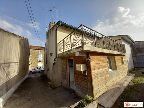photo no. 11