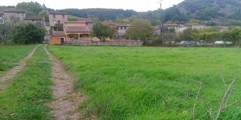 photo no. 6