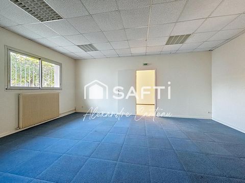 photo no. 5