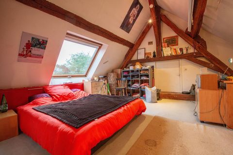 photo no. 12