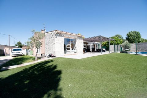 photo no. 1