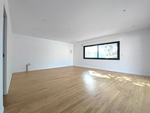 photo no. 3