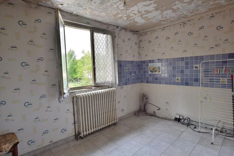 photo no. 8
