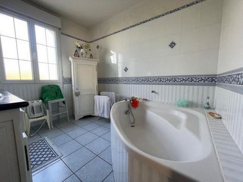 photo no. 13