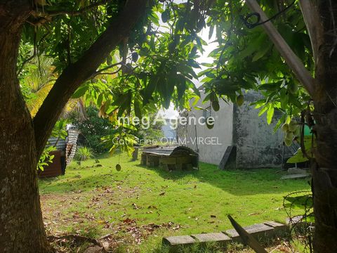 photo no. 4