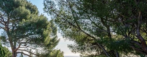 Dpt Bouches du Rhône (13), à vendre LA CIOTAT terrain