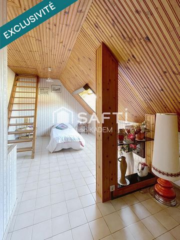photo no. 10