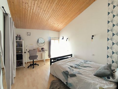 photo no. 9