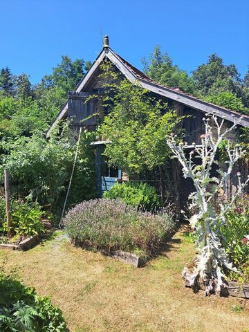 photo no. 19