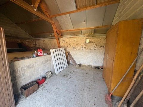 photo no. 7