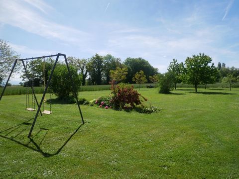 photo no. 8