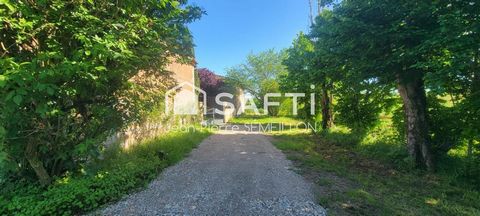 photo no. 14