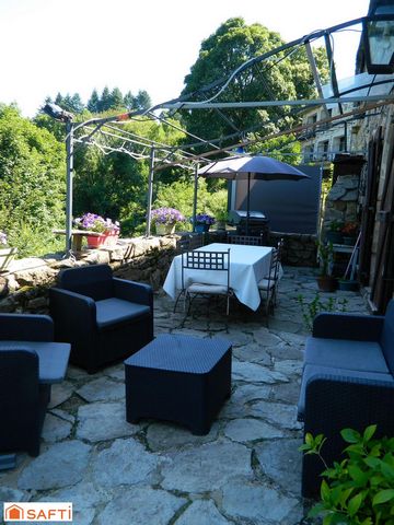 photo no. 11