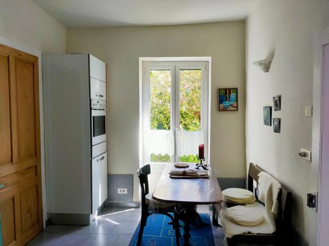 photo no. 12